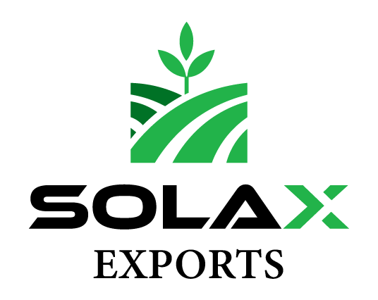 Solax Exports Logo
